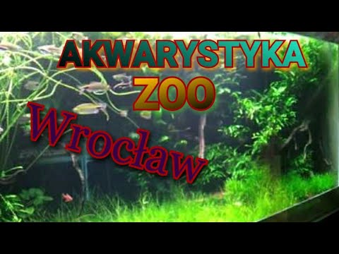 Zoo Wrocław akwarystyka