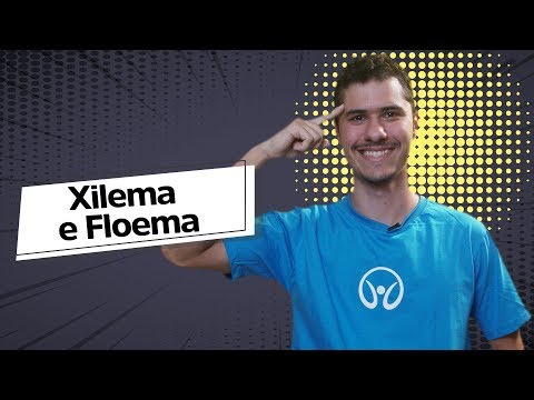 Xilema e Floema | Histologia Vegetal - Brasil Escola