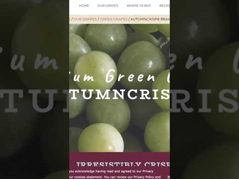 What is the Season of Autumn Crisp?