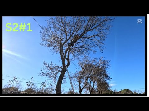 Prace na farmie z synem