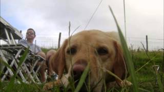 A song for Charlie