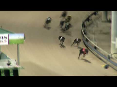 Ipswich-Saturday-19122020-Race-4