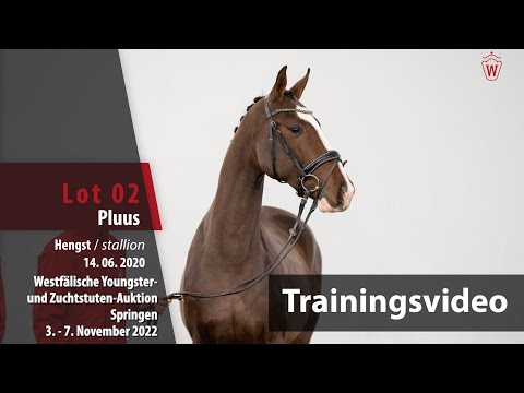 Online-Auktion Trainingsvideo Lot 02 Pluus Hengst v. Grandorado TN - For Pleasure