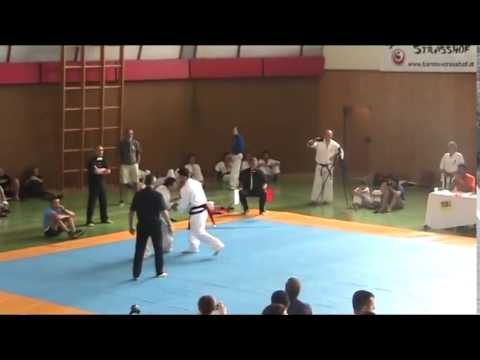 Lasha Ozbetelashvili (geo) vs kobylko igor (ukr) austrian cup 2 fight