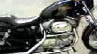 preview picture of video 'Harley Davidson Sportster'