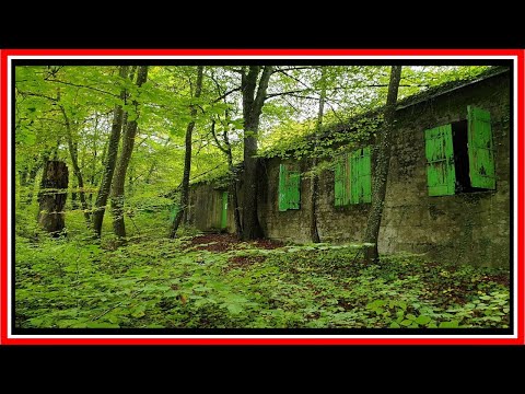 JE VISITE LE QG DU FÜHRER ( Führerhauptquartier ) ! #URBEX ! (76)