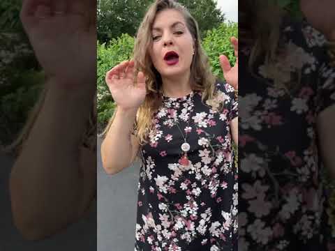 Lularoe Melissa