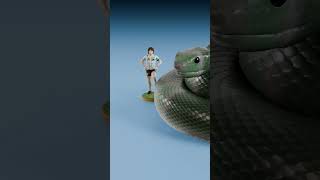 Download lagu Threadsnake vs Green Anaconda mp3