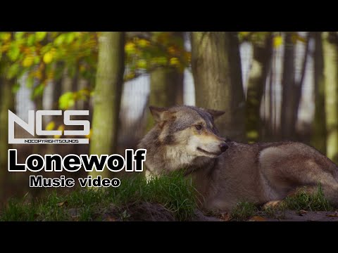 Emdi x Coorby - Lonewolf (feat. Kristi-Leah) [NCS Release] | Music video