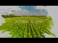 Paul Wilbur - Adonai Elohai (Lyric Video)