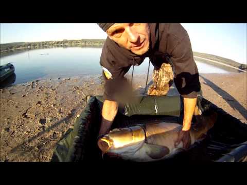 Big carp fishing in Europe movie trailer