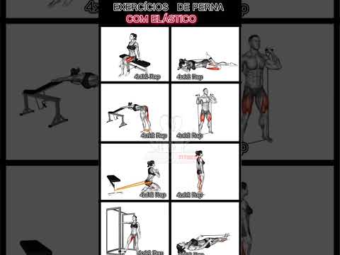 EXERCÍCIOS PARA DEIXAREM SUAS PERNAS GIGANTES TREINANDO COM ELÁSTICO EM CASA. #musculação #workout