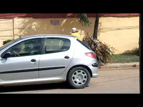 ARMANDITO DESDE SAN JOSE DE LAS LAJAS 