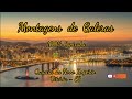 Montagens De Galeras 100 Capixaba Quadra Da Novo Império Vitória ES