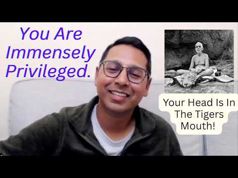 You Are Immensely Privileged - Your Head Is In The Tigers Mouth!