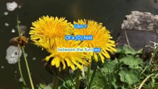 Curtains by Elton John play along with scrolling guitar chords and lyrics