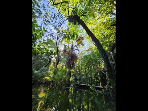 Palapa de la Selva in beautiful Pueblo Sacbe Playa del Carmen MX