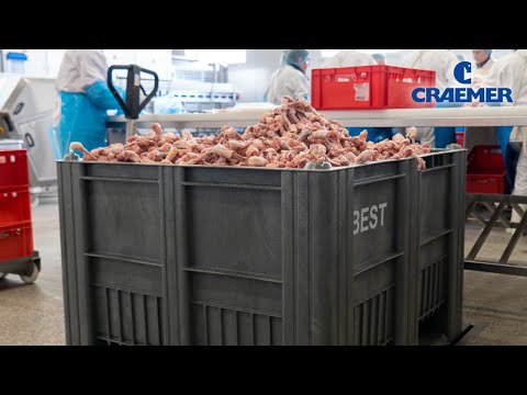 Craemer CB3 pallet box in use in the meat industry (Category III slaughterhouse waste)