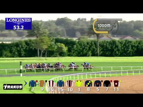 31.01.2015 Meydan (Dubai/UAE) 3.Race Saeed & Mohammed Al Naboodah Group Trophy - Handicap 1.800 m