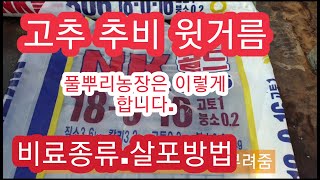 [고추재배방법] 고추 추비 윗거름. 비료종류 및 살포방법