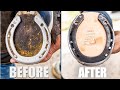 Satisfying Horse Hoof Restoration And Cleaning Videos To Watch Part 5