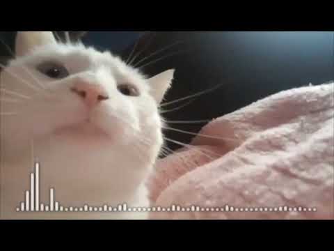 FISHER - Losing it (1 hour version)