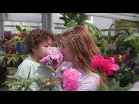 Merrifield Garden Center Spring