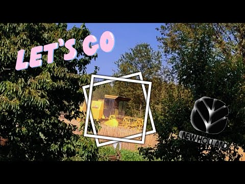 Rozpoczęcie Żniw 2022!🔥Pełna moc New Hollanda Clayson 122!✨Żyto na pierwszy ogień!⭐- Eligos Agro