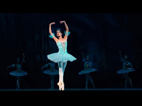 Introducing Ballet Dance