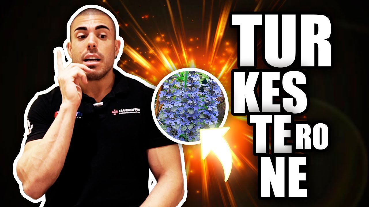 Tudo sobre Turkesterone