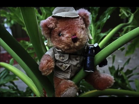 Teddy Bears' Picnic (new lyrics) - Bounder & Cad
