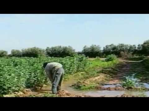 Région de Gharb-Chrarda-Beni Hssen