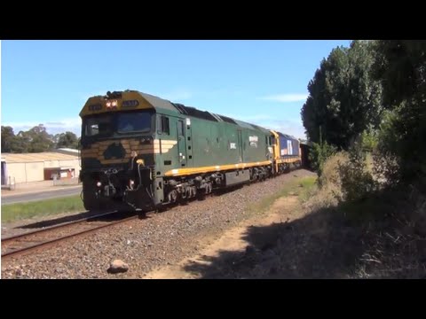 G538 Dead attached leading 8116 on a empty grain train through Hamilton, Vic