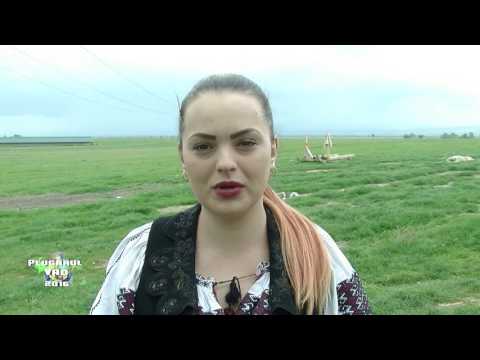 Plugarul Vad 2016