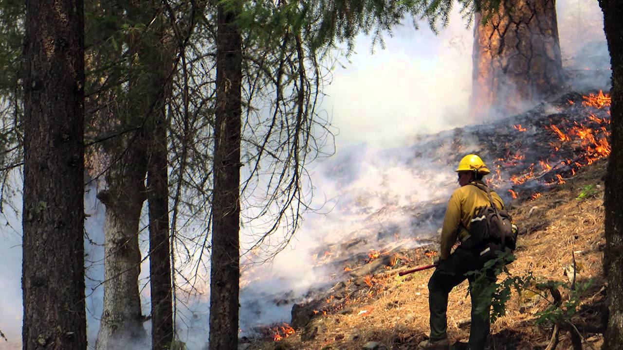 The PACE Model Explained