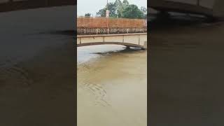 Bansi Siddharth Nagar Rapti Nadi Ka badh #shorts #viral