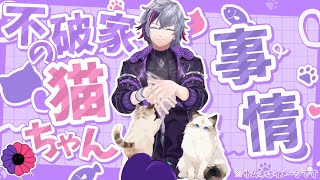 【まとめ】不破家のにゃんちゃん事情【不破湊/にじさんじ】