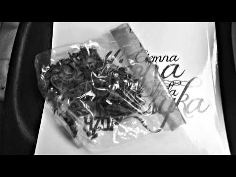 HZOP - NAJMOCNIEJSZY TOWAR (OFFICIAL VIDEO)