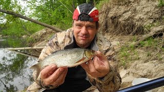 Техника ловли на боковой кивок с бегучей оснасткой