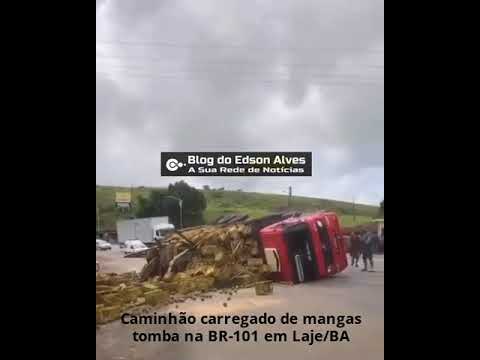 Caminhão carregado de mangas tomba na BR-101 em Laje/BA  #notícias #shorts #br101 #manga #caminhão