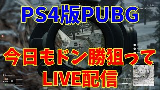 【PS4版PUBG】休日お昼のスクワッド【ライブ配信】
