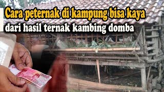 Download lagu Why are there so many livestock farmers in the village who are not yet rich from their livestock? mp3 Download lagu Why are there so many livestock farmers in the village who are not yet rich from their livestock? mp3