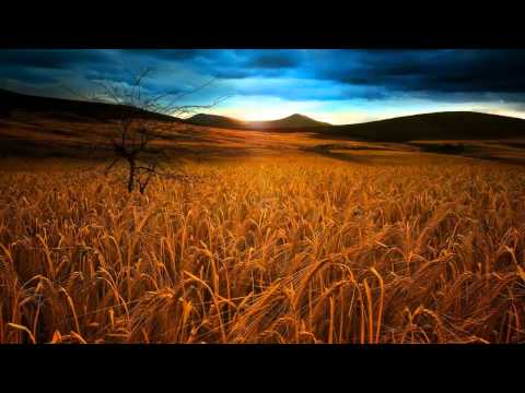 Accendo - Regulus (Original Mix)