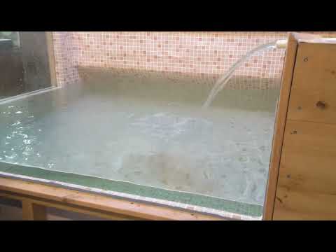 Swimming Pool Construction Service