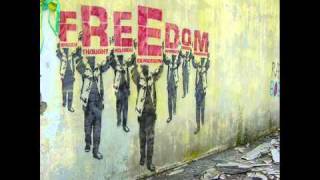 Michael Franti &amp; Spearhead - Rock The Nation (The Constitution Remix)