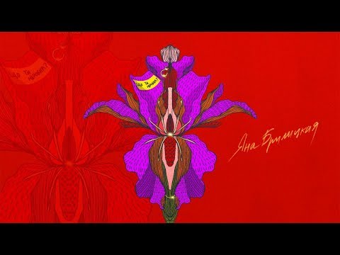 Яна Брилицкая - Що ти наробив? [ПРЕМ'ЄРА 2019]  LYRIC VIDEO