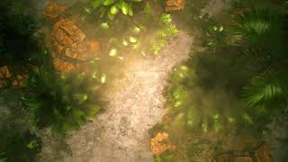 Jungle Swamp Day Foggy