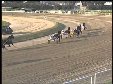 Trotto 12/10/2014 - 6°corsa - Criterium Partenopeo