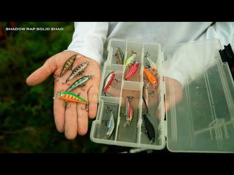 Vídeo Isca Rapala Shadow Shad Solid SDRSS05