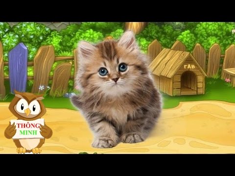Con vật và tiếng kêu | dạy bé học nói qua hình ảnh con mèo con ong | dạy trẻ thông minh sớm 1
